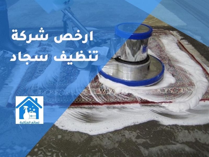 ارخص شركة تنظيف سجاد